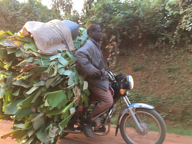 patricia campos caminar como medio transporte uganda moto boda boda