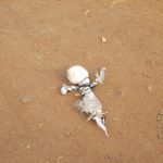 patricia campos brujeria religion