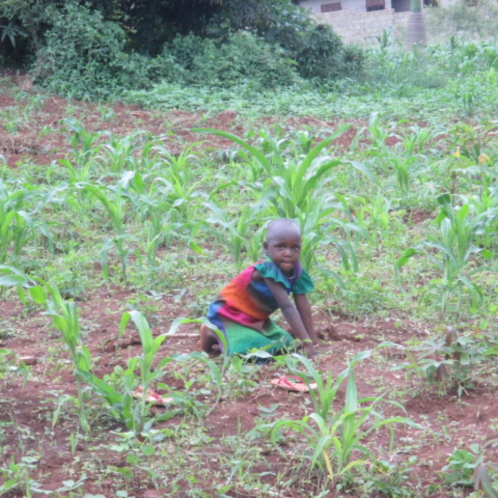 patricia campos ninos que parecen adultos 2