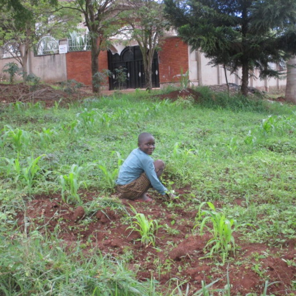 patricia campos ninos que parecen adultos 3