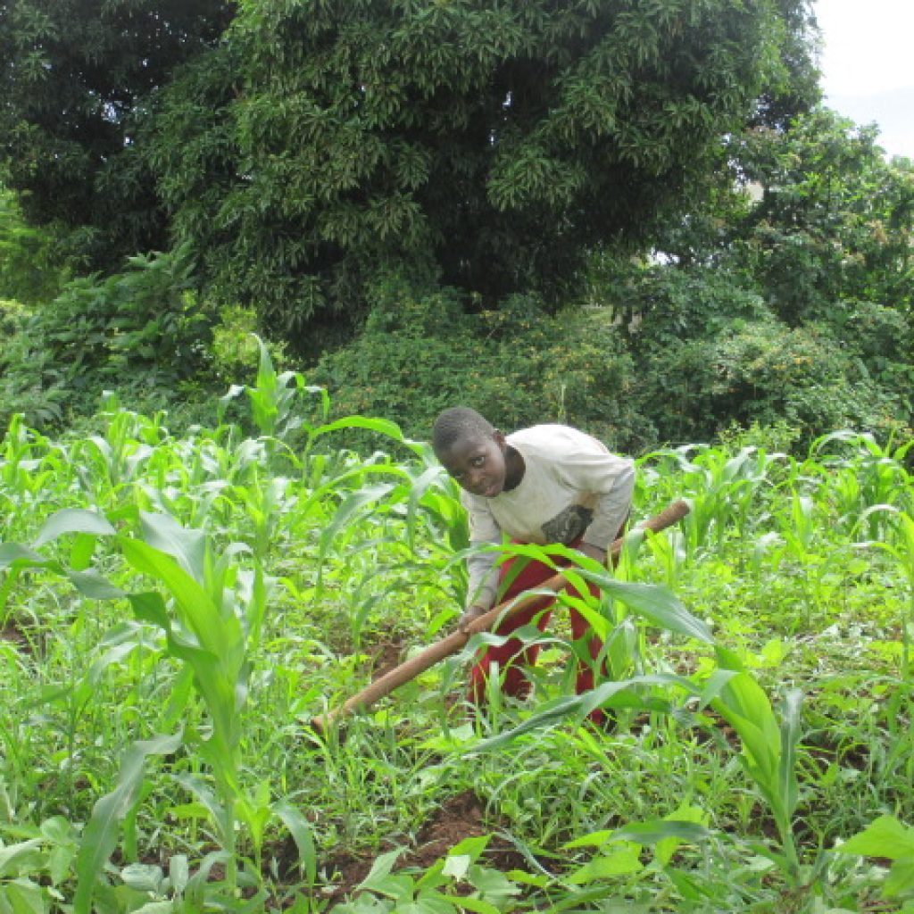 patricia campos ninos que parecen adultos 4