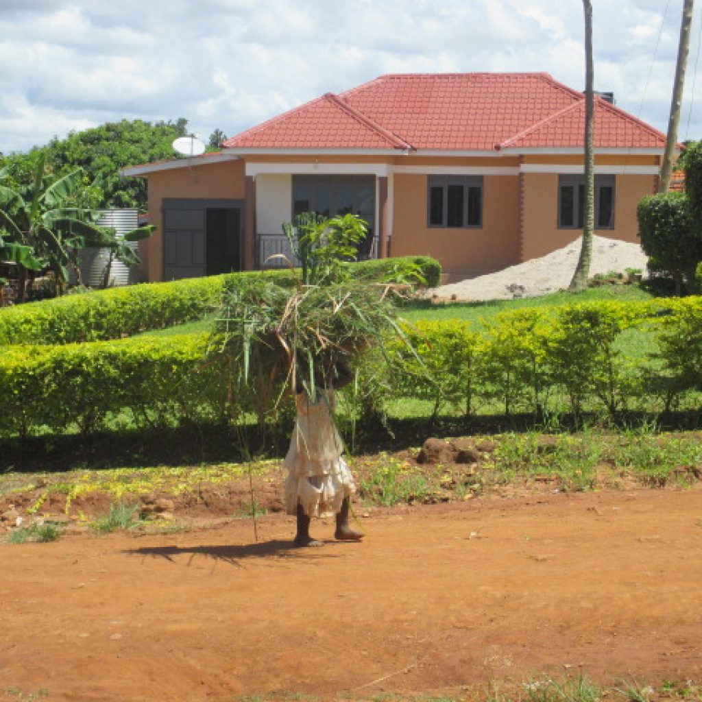 patricia campos ninos que parecen adultos 6