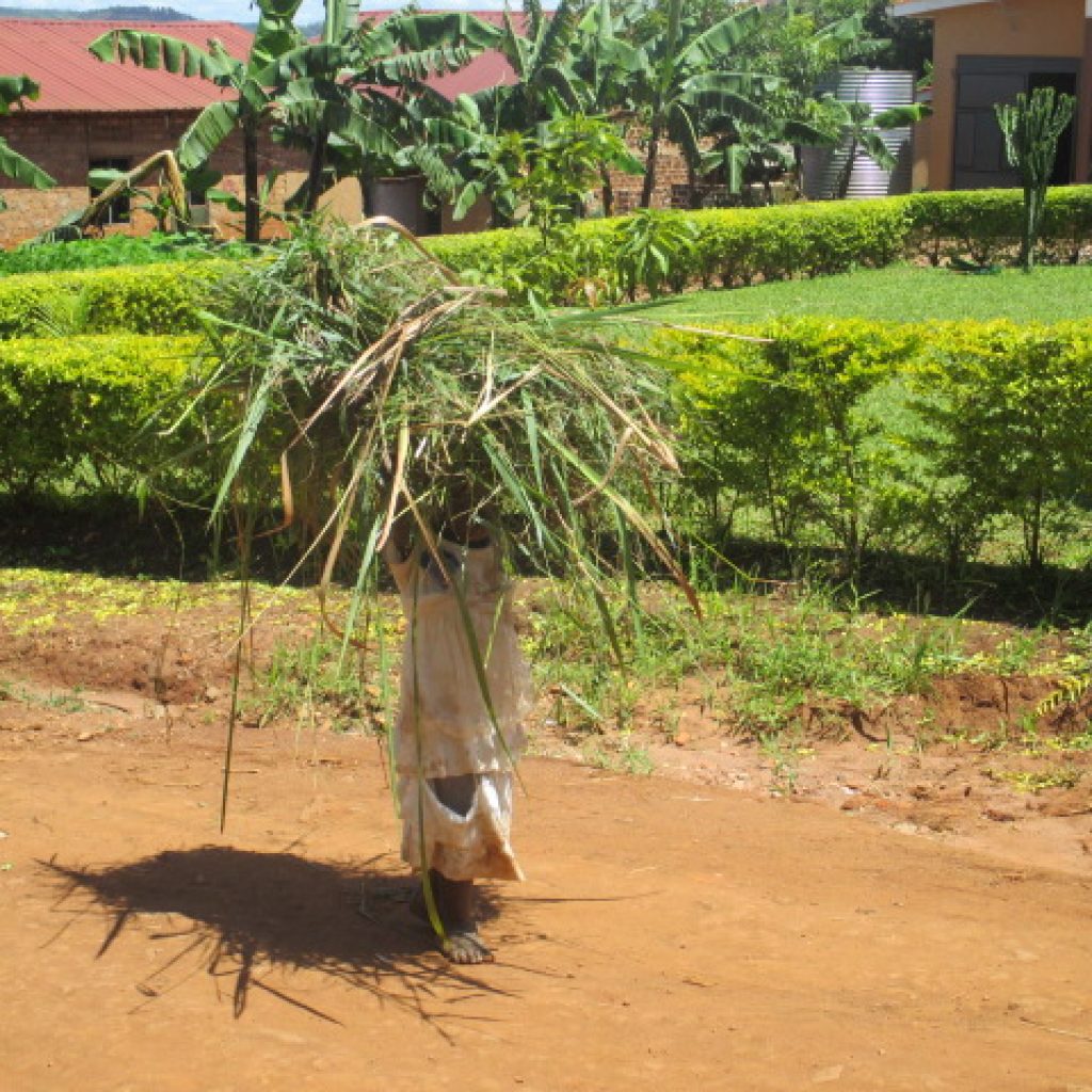 patricia campos ninos que parecen adultos 7