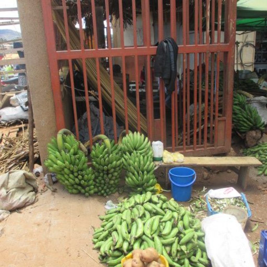 patricia campos te para combatir hambre 6