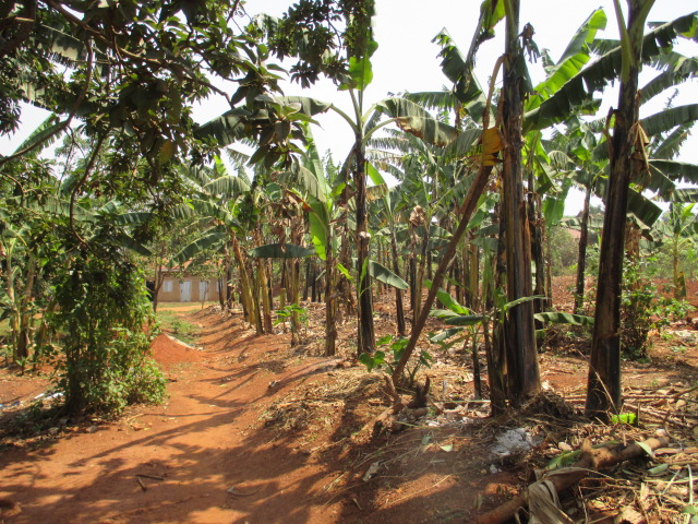 patricia campos te para combatir hambre8